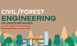 Civil/Forest Engineering Degree: Job Choices and Salaries 💼🌳